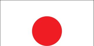 Domain Registration Lookup for Japan