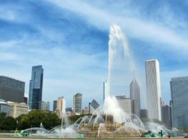How to Take Care of Business in Chicago