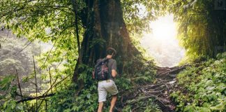 6 Tips for Hiking Alone