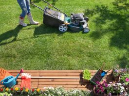 Top Things to Consider When Hiring a Lawn Care Company
