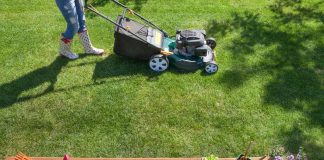 Top Things to Consider When Hiring a Lawn Care Company