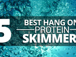 Top 5 Benefits of HOB Protein Skimmers