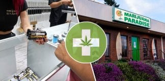 Tips for Your First Visit to a Medical Marijuana Dispensary