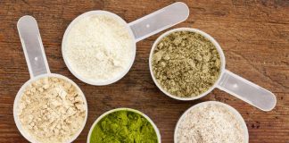 Why You Should Add Vegan Protein Powder in Your Diet