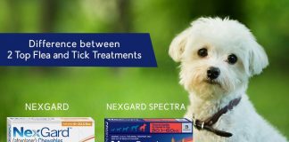 Does Nexgard Spectra Work For Ticks And Fleas
