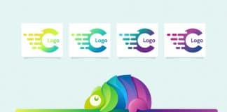 Cool Colors For Logo Design