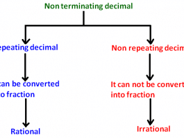 Rational & Irrational Numbers