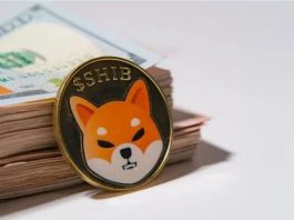 An Investor’s Guide To Shiba Inu