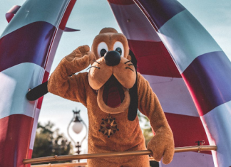 5 Factors to Consider Before Investing in a DVC Membership DVC Membership